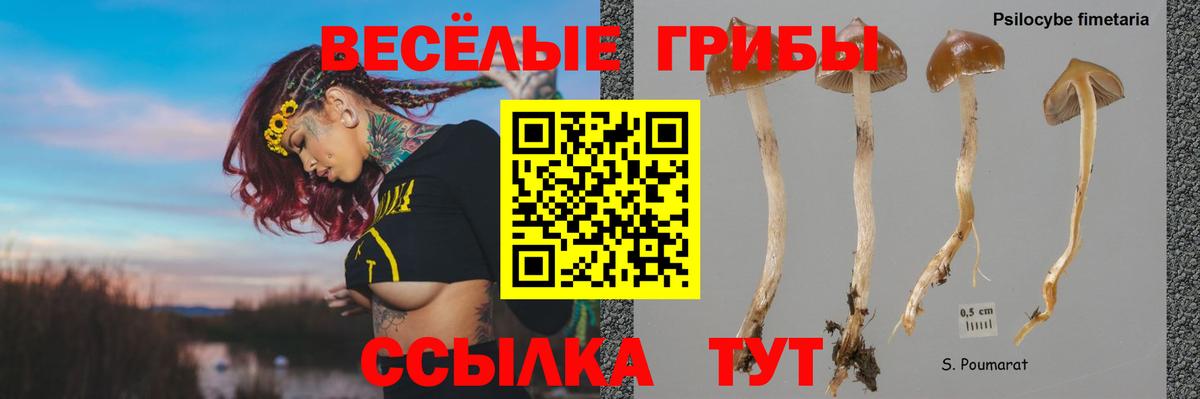 Углич  Галлюциногенные грибы GOLDEN TEACHER  Галлюциногенные грибы Psilocybine cubensis  Вход с VPN 