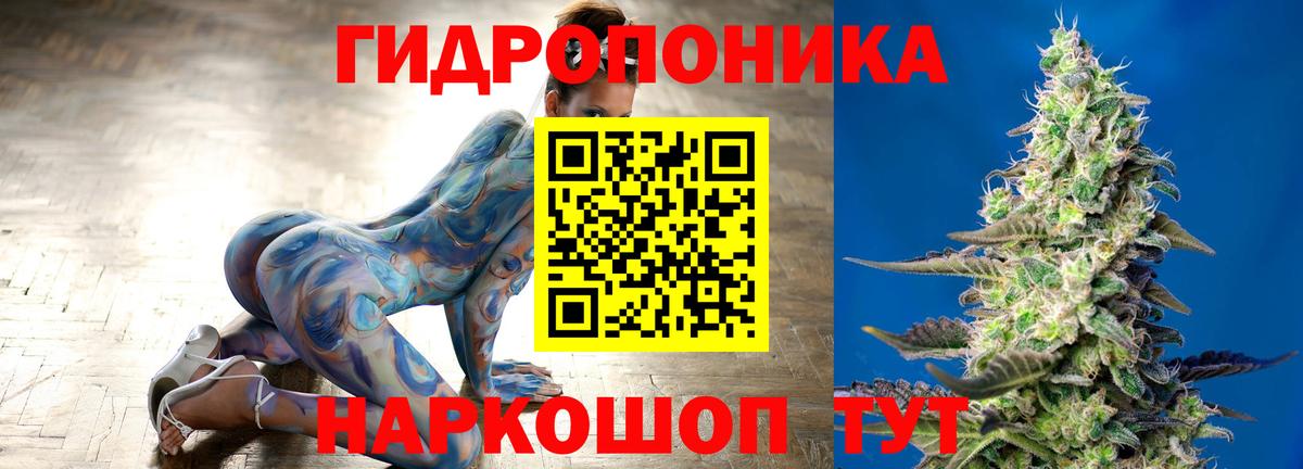 Шишки марихуана планчик  Вход с VPN  Марихуана марихуана  Углич 
